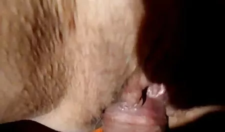 القط في كس والانتهاء مشاهدة افلام جنس عربي مع الثدي الصغيرة.