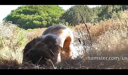 اثنين اللعنة افلام جنس بنات بعضها البعض مرة أخرى وملء مع بعضها البعض.
