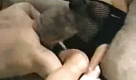 منحرفة الكلب الأبيض, الأسود, فيلم عاشقة الجنس