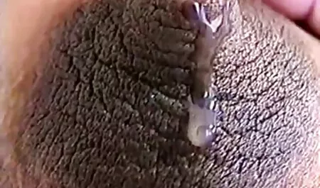 نظرة افلام جنس حديثة لطيف مع فتاة
